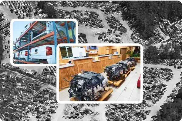 Salvage Yard, New Vision